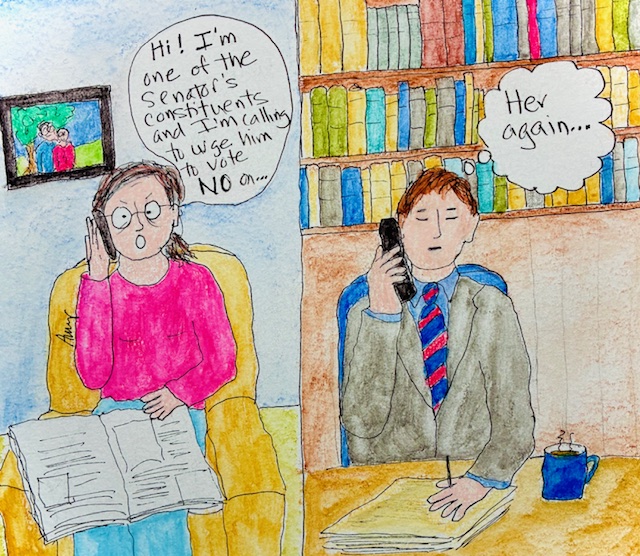 Daily Advocacy: My Experience with Congress